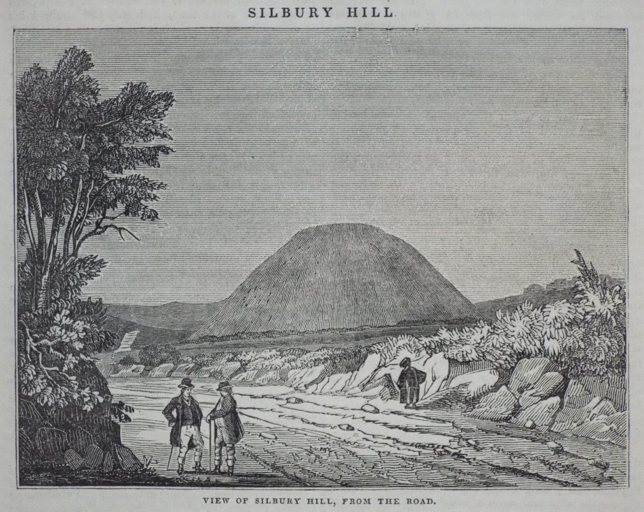 Wood - Silbury Hill. View of Silbury Hill, from the Road.